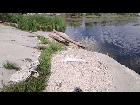 Видео: Прибрежная зона Заводского района Саратова - Порт. Юриш.