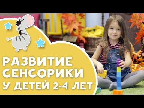 Видео: Развитие сенсорики у детей 2-4 лет [Любящие мамы]