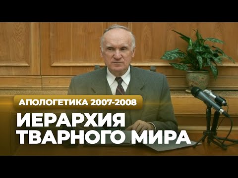 Видео: Иерархия тварного мира (МДА, 2008.03.04) — Осипов А.И.