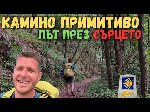 Видео: КАМИНО ПРИМИТИВО - ПЪТ през СЪРЦЕТО | МАГИЯТА на ПЕСЕНТА