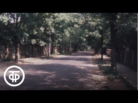 Видео: Клуб кинопутешествий. Эфир 19.07.1981. Поселок художников "Сокол" (1981)