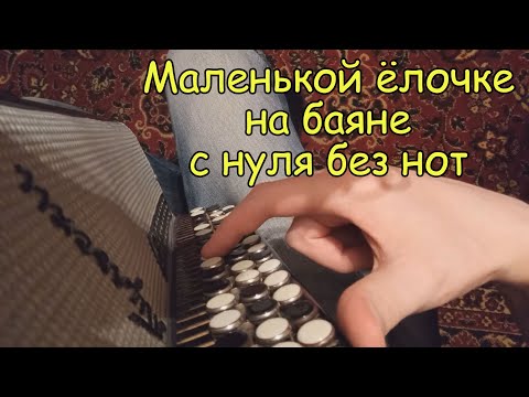 Видео: Маленькой ёлочке. Самый простой способ научиться играть на баяне с нуля без нот в любом возрасте.