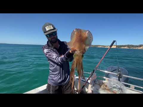Видео: Потрясающая рыбалка на кальмаров в Вестернпорте!! Они были просто ОГНЕННЫЕ!
