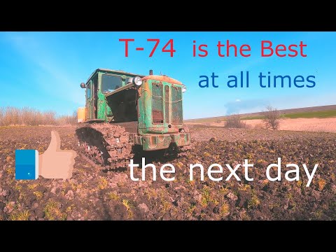 Видео: Т-74 в ударе . Проблема с гусянкой решена .Продолжение посева люцерны с ячменем.