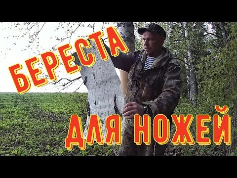 Видео: СБОР БЕРЕСТЫ ДЛЯ РУКОЯТЕЙ НОЖЕЙ