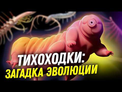 Видео: Тихоходки: загадка эволюции | День Недостающего Звена 2-1 | Денис Туманов