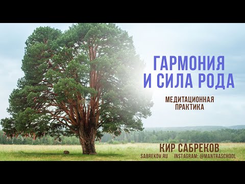 Видео: ГАРМОНИЯ И СИЛА РОДА - МЕДИТАЦИЯ - Кир Сабреков