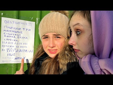 Видео: Диана и Капа ИЩУТ СОБАК! НАГРАДА IPHONE X