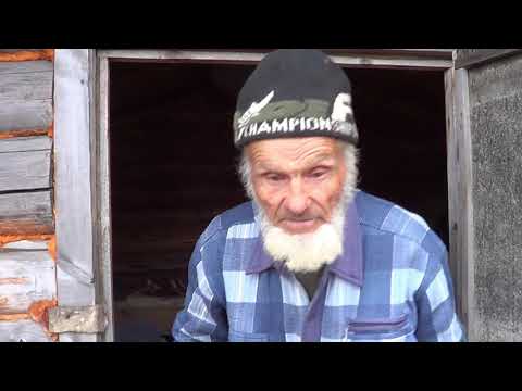 Видео: Зимовье Отчего сдох медведь, почему засохла тайга, обед