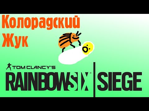 Видео: Колорадский Жук / Rainbow Six Siege