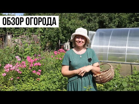 Видео: БОЛЬШОЙ обзор огорода в июле