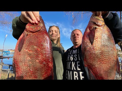 Видео: ИЗУМИТЕЛЬНО‼️ КАК ПРАВИЛЬНО ПРИГОТОВИТЬ РЫБУ В КАЗАНЕ И Салат с говядиной ✔️Лещ в казане✔️мясо