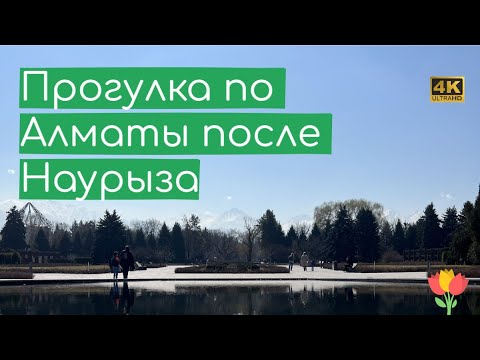 Видео: Прогулка по Алматы от Жандосова до Ботанического сада 4K / Walking from Zhandosova to Botanic garden