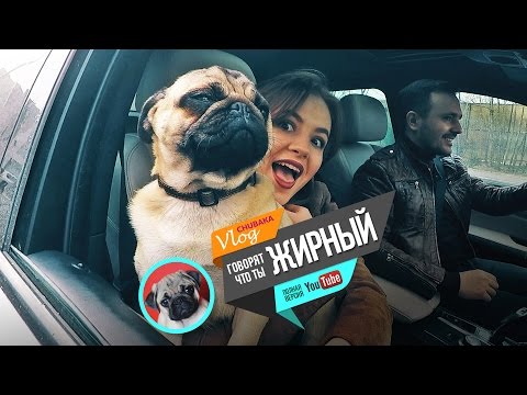 Видео: Chubaka Vlog! Говорят, что ты жирный...