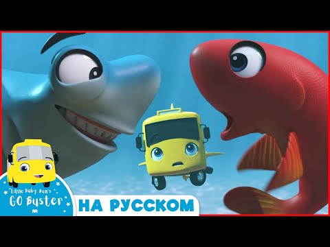 Видео: Бастер и Рыбы! | @GoBusterRussian  | Детские Песни | Мультики для детей