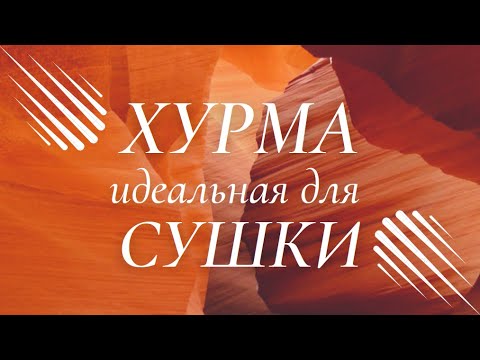 Видео: ХУРМА идеальная для СУШКИ. Сорт ШАРОН.
