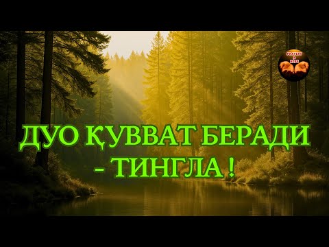 Видео: Ал-Бақара 255, 285–286💫 Ҳимоя, умид ва тинчлик - Powerful Dua🔑 (табиатда)🧝🏻‍♂️