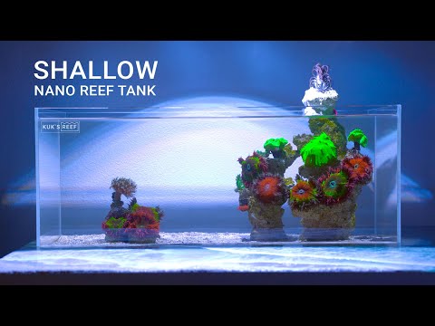 Видео: Низкий морской аквариум 45 литров.