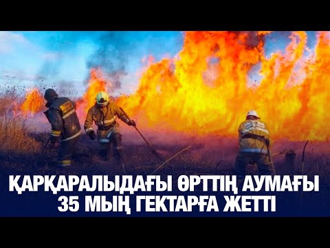 Видео: Басты жаңалықтар 08.10.2024 | Жаңа уақыт | Күндізгі шығарылым