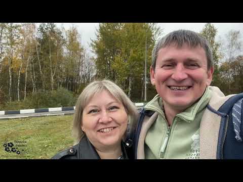 Видео: 27.Наша осенняя усадьба! Укрыли растения, срубили капусту. 