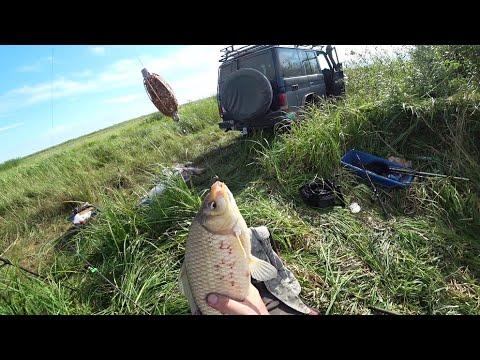 Видео: Заехали в такую глушь. Там караси больше сазанов.