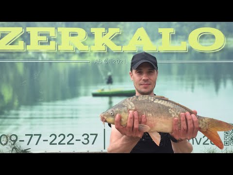 Видео: Рыбалка на карпа с корабликом.Пруд "Зеркало"хутор Калаборка.