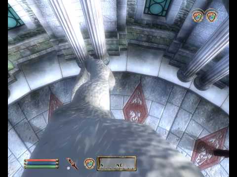 Видео: Секреты и баги в игре TES 4: Oblivion