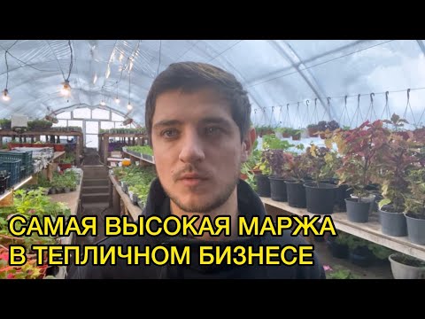 Видео: Бизнес на рассаде овощей от А до Я. Видео для начинающих!