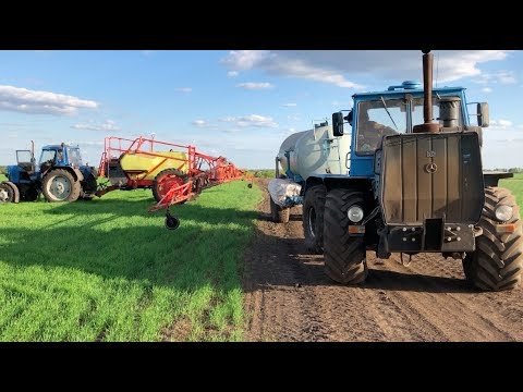 Видео: Полив озимой пшеницы. ВСТРЕТИЛ ЛОСЕЙ!
