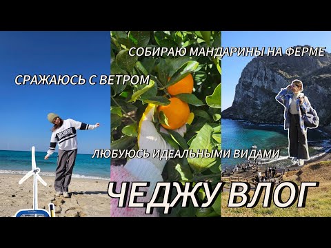 Видео: КОРЕЯ 🇰🇷 | ИЗ СЕУЛА НА ЧЕДЖУ: САМЫЕ КРАСИВЫЕ ВИДЫ ОСТРОВА И МАНДАРИНЫ