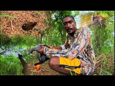 Видео: Вот как я охочусь, ловлю, чистю и готовлю дичь по-деревенски.