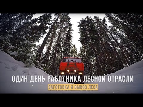 Видео: ОДИН ДЕНЬ РАБОТНИКА ЛЕСНОЙ ОТРАСЛИ. Заготовка и вывоз леса. Пилорама. Изготовление срубов