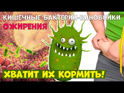 Видео: Измените микрфолору кишечника, чтобы похудеть и снизить уровень сахара. Простой метод