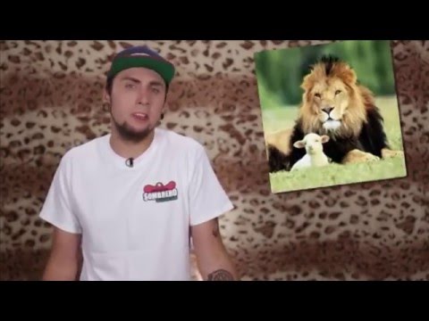 Видео: +100500 на ТВ - 124 выпуск