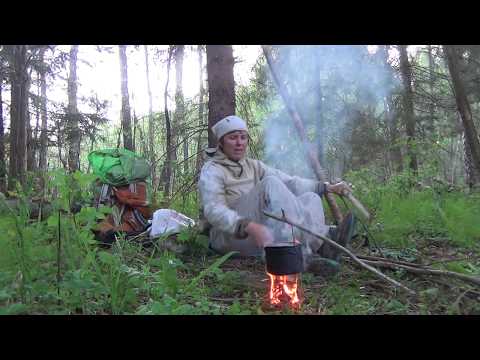 Видео: В одиночку за кабанами и оленями.