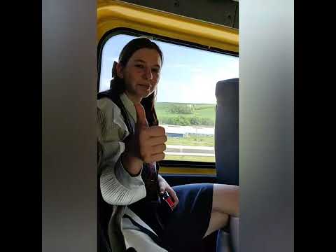 Видео: А ты знаешь ПДД⁉️🚸🚌⛔