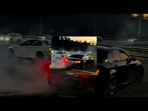 Видео: Я Кавказец злой породы