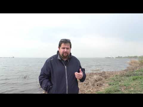 Видео: Как опять не стать оленем