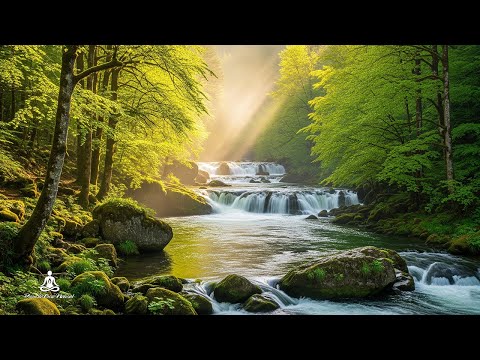 Видео: Целебная Музыка для Души 🌿 Успокаивающие Звуки, Чтобы Перестать Слишком Много Думать #2