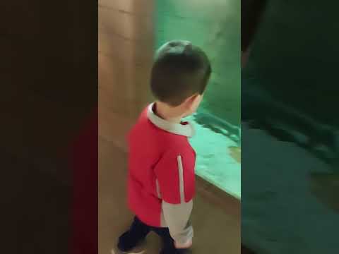 Видео: Ташкент қаласы.(4)