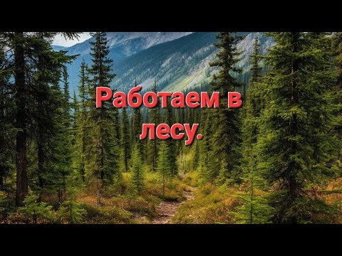 Видео: СБОР ЧАГИ. НА КАРАКАТЕ В ЛЕС ЗА ЧАГОЙ.