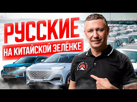 Видео: КИТАЙСКАЯ ЗЕЛЕНКА🚘 АВТОРЫНОК ХАРБИНА❗️ЦЕНЫ, ЧТО БЕРУТ❓