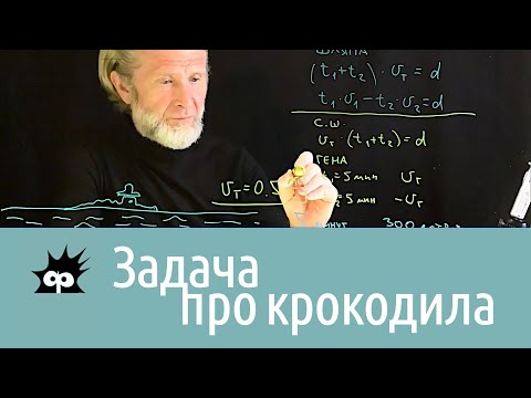 Видео: Кинематика 2. Относительность и задача про крокодила