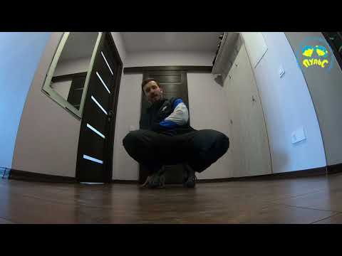 Видео: Break. Елементи з footwork .