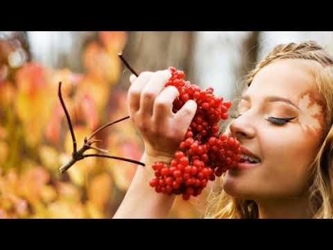 Видео: Баланнардай ачы язмышлар.Дания Шарифуллина жырлый.