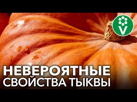Видео: ВОТ ЧТО ТВОРИТ ТЫКВА! Невероятная польза тыквы для здоровья и красоты