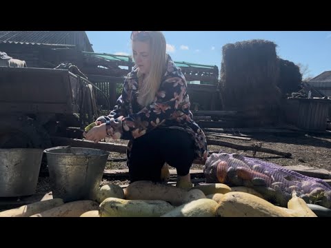 Видео: Жизнь в деревне. Посылка из Казахстана.  Мечтаем о свиньях. Готовимся к зиме. Убираем овощи