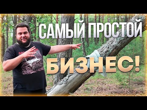 Видео: БИЗНЕС НА КОРЕ СОСНЫ/200Т.Р. В МЕСЯЦ/РАССКАЖУ КУДА ПРОДАТЬ