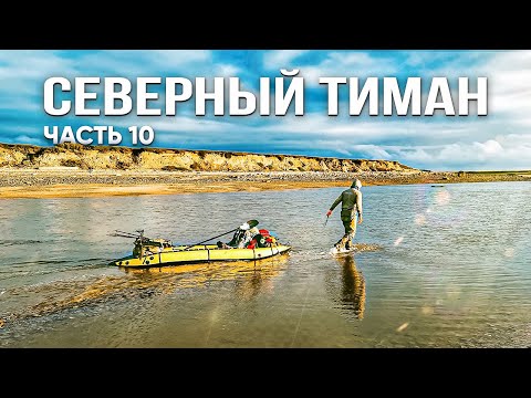 Видео: Застряли в приливной зоне. Раненый олень ищет спасения у людей. Схватка с гигантской рыбой.