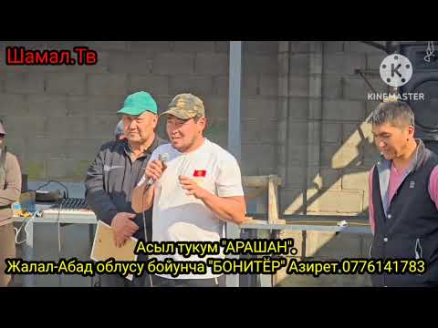 Видео: Жалал-Абад облусу бойунча АРАШАН койду бонитировкадан өткөзү бойунча, толук маалымат видеодо.